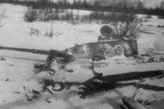 Tiger_eastern_front_winter