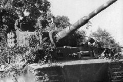 Tiger_heavy_tank