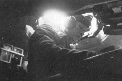 Tiger_interior