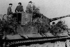 Tiger_of_3rd_SS_Panzer_Division_Totenkopf