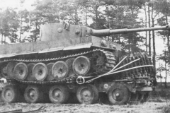 Tiger_on_trailer_2
