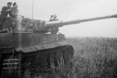 Tiger_panzer