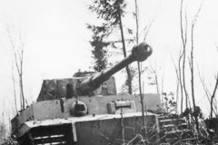 Tiger_panzer_VI_8