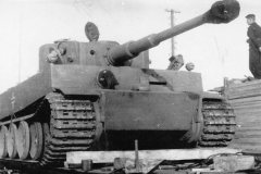 Tiger_rail_3