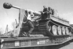 Tiger_rail_4