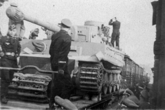 Tiger_rail_grossdeutchland