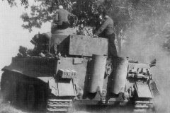 Tiger_rear