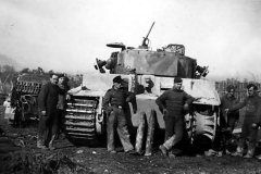 Tiger_rear_2