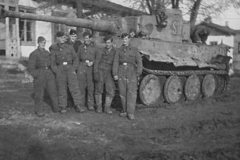 Tiger_s21