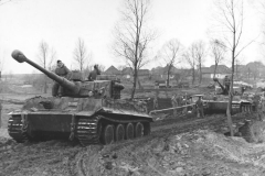 Tiger_s23_LAH_1943