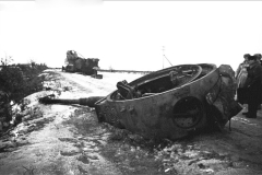Tiger_s34