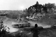 Tiger_schwere_panzer_abteilung_502_tank_number_21