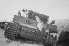 Tiger_schwere_panzer_abteilung_504_tunisia