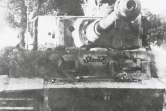 Tiger_strolch