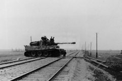 Tiger_tank_17