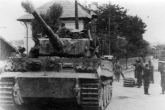 Tiger_tank_25