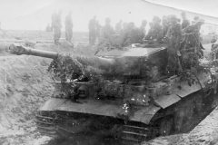 Tiger_tank_28