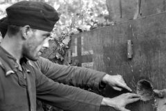 Tiger_tank_damaged_3