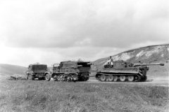 Tiger_tank_number_114