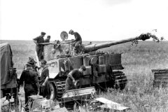Tiger_tank_number_123