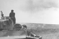 Tiger_tank_number_123_photo