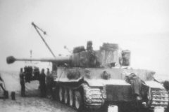 Tiger_tank_number_141