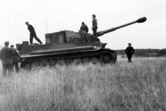 Tiger_tank_number_200