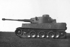 captured_Tiger_502_121