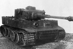 captured_Tiger_502_121_2