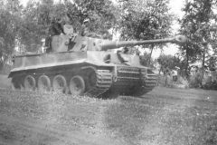 panzerkampfwagen_Tiger_5