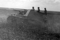 German_105_cm_self-propelled_gun_Wespe