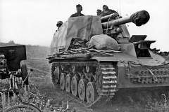 Wespe_1943