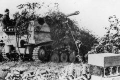 Wespe_on_firing_position